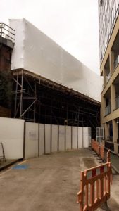 King James Shrink Wrap