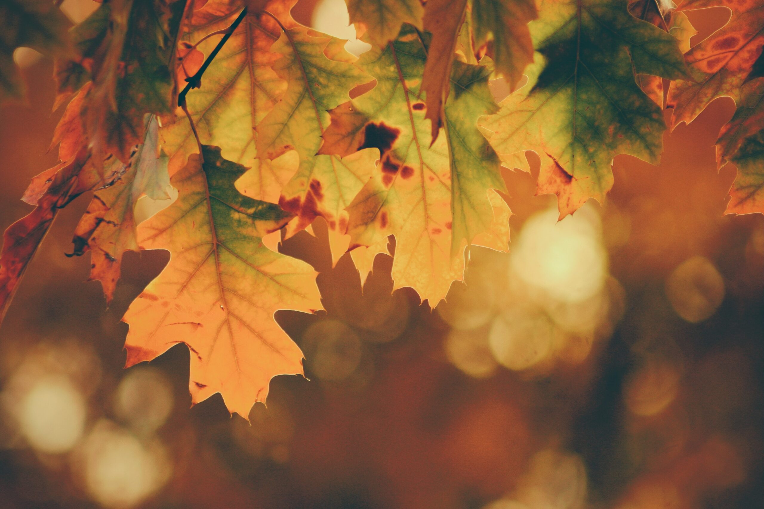 blog img