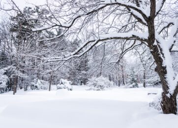 Scaffolding risks to look out for in Winter.