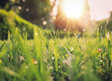 Scaffolding risks Spring | Hazards in Scaffolding